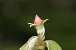 Dcim5939/DSC_5451