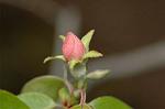 Dcim5939/DSC_5453