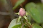 Dcim5939/DSC_5454