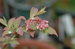 Dcim5939/DSC_5477