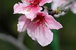 Dcim5939/DSC_5496