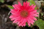 Dcim5940/DSC_5536