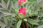 Dcim5940/DSC_5576
