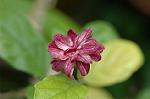 Dcim5940/DSC_5624