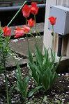 Dcim5941/DSC_1444