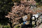 Dcim5942/DSC_1483