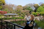 Dcim5942/DSC_1524