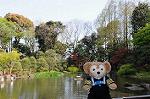 Dcim5942/DSC_1531