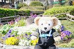 Dcim5942/DSC_1540
