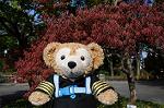 Dcim5943/DSC_1552