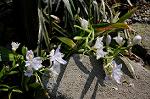Dcim5943/DSC_1569