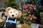 Dcim5943/DSC_1573