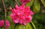 Dcim5943/DSC_1600