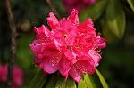 Dcim5943/DSC_1601