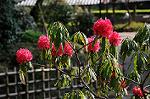 Dcim5943/DSC_1611
