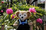 Dcim5943/DSC_1615
