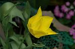 Dcim5953/DSC_5939