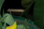 Dcim5953/DSC_5941