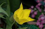 Dcim5953/DSC_5943