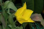 Dcim5953/DSC_5945