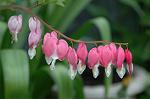 Dcim5953/DSC_5948
