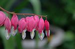 Dcim5953/DSC_5950