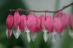 Dcim5953/DSC_5953