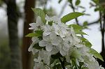Dcim5953/DSC_5977