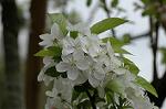 Dcim5953/DSC_5978