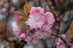 Dcim5953/DSC_6048