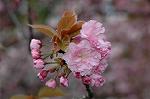 Dcim5953/DSC_6049