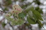 Dcim5954/DSC_6164