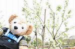 Dcim5955/DSC_2355