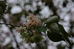 Dcim5956/DSC_2469