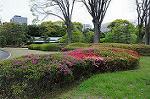 Dcim5956/DSC_2478