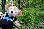 Dcim5956/DSC_2485