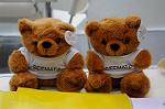 Dcim5961/DSC_2910