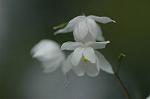 Dcim5962/DSC_6391