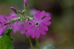 Dcim5962/DSC_6461