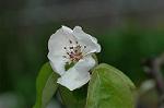 Dcim5962/DSC_6479