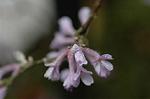 Dcim5962/DSC_6498
