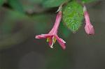 Dcim5962/DSC_6507