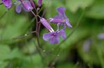 Dcim5962/DSC_6511