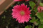 Dcim5963/DSC_6548
