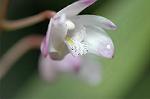 Dcim5963/DSC_6569