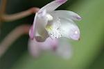 Dcim5963/DSC_6570