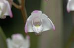 Dcim5963/DSC_6573
