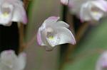Dcim5963/DSC_6574