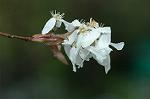 Dcim5963/DSC_6583