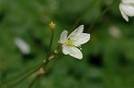 Dcim5963/DSC_6617